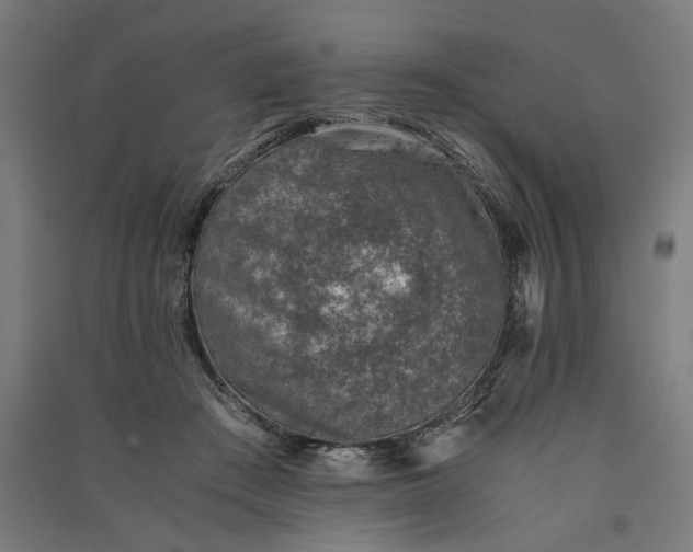 X0000091060409200708201350