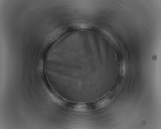 X0000091060410200708201350