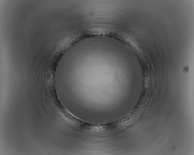 X0000091060411200708201350