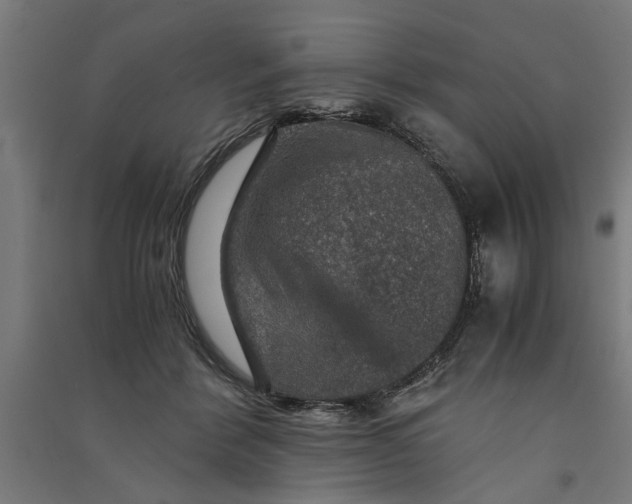 X0000091060412200708201350