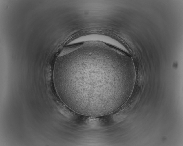 X0000091060413200708201350