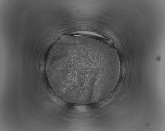 X0000091060417200708201350