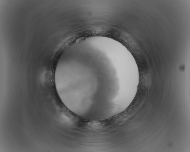 X0000091060419200708201350