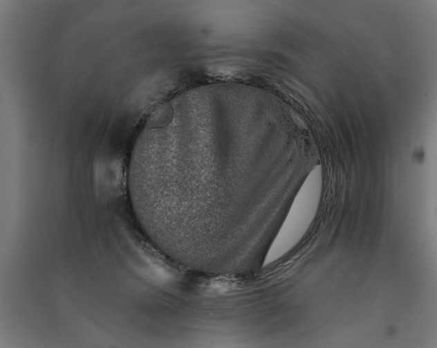 X0000091060420200708201350