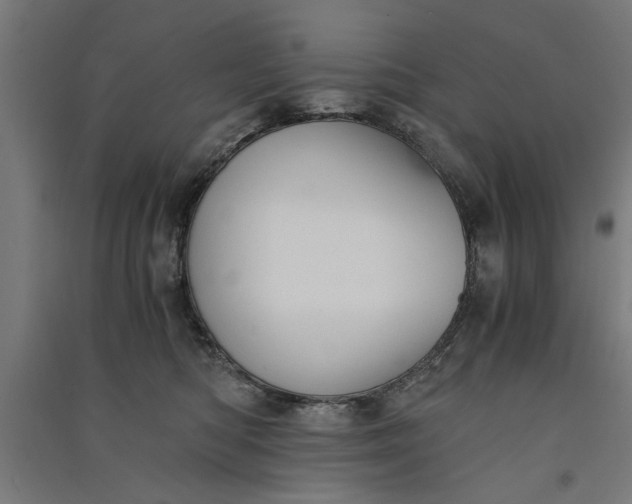 X0000091060422200708201350