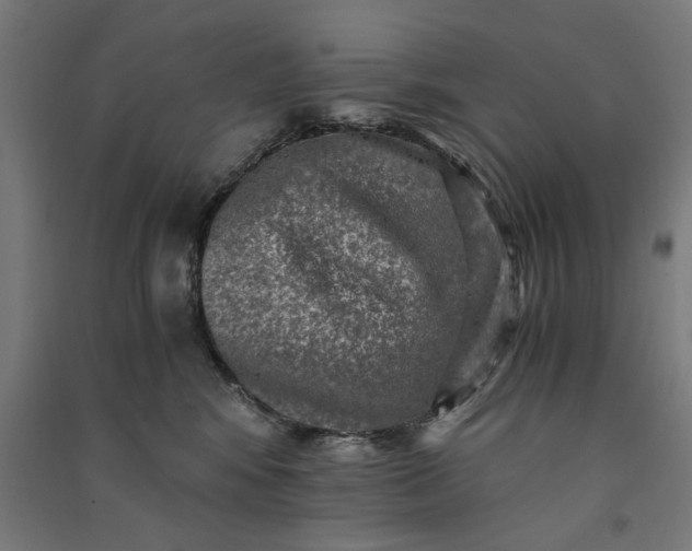 X0000091060424200708201350