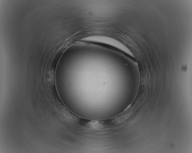 X0000091060425200708201350