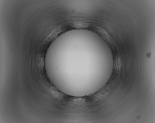 X0000091060426200708201350