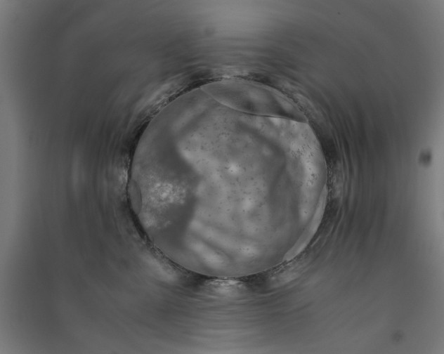 X0000091060427200708201350