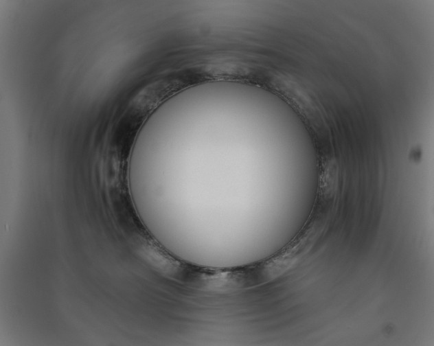 X0000091060430200708201350