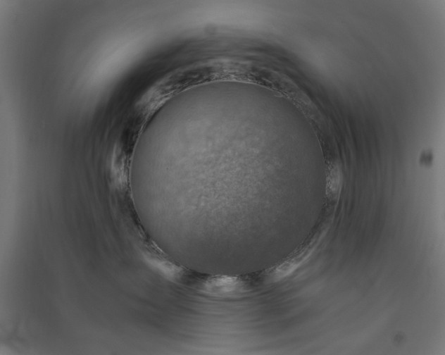 X0000091060431200708201350