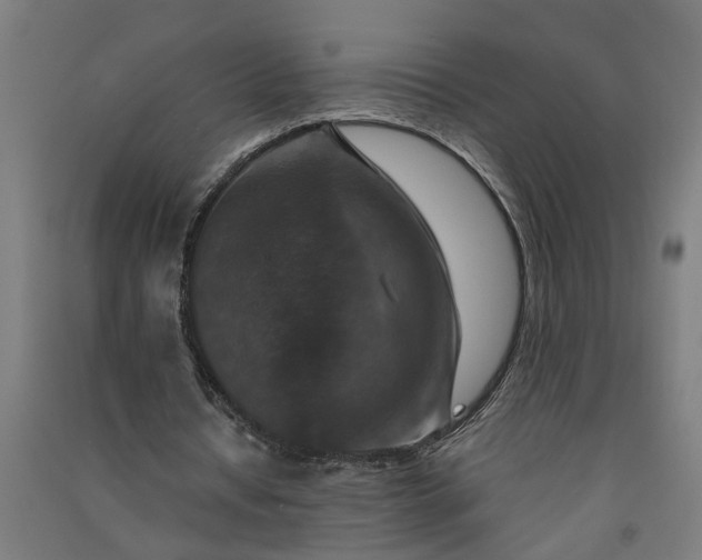 X0000091060434200708201349