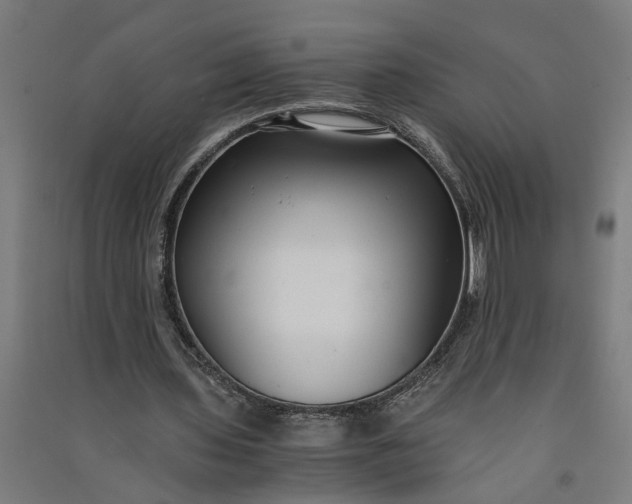 X0000091060435200708201349