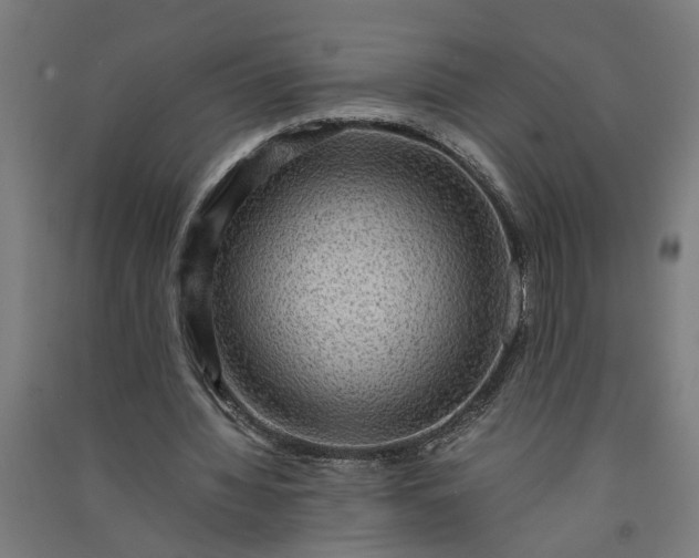 X0000091060436200708201349