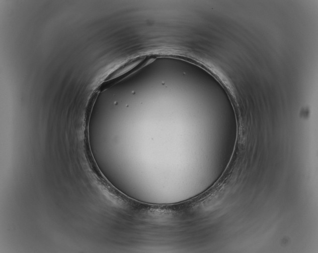 X0000091060437200708201349