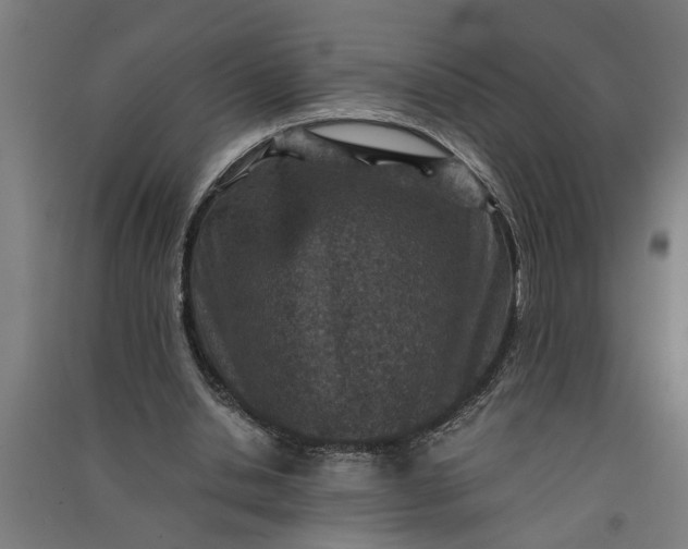 X0000091060438200708201349