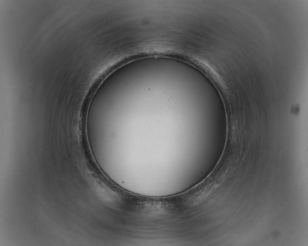 X0000091060439200708201349