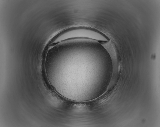 X0000091060440200708201349