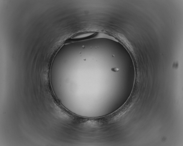 X0000091060441200708201349