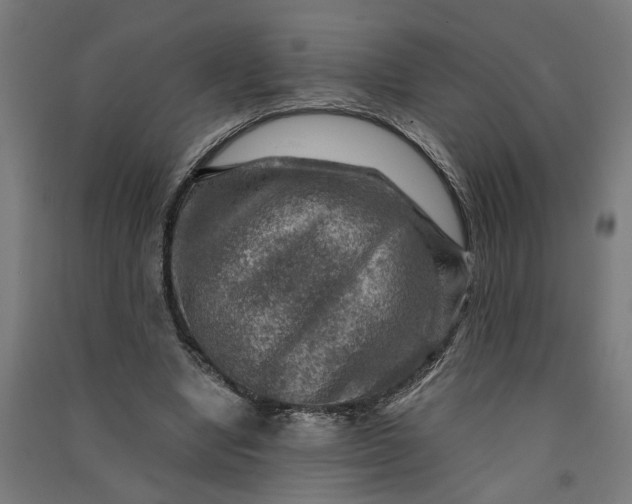 X0000091060442200708201349