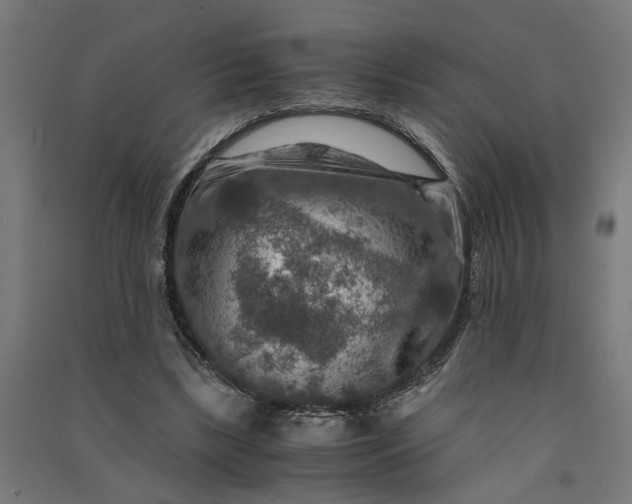 X0000091060443200708201349