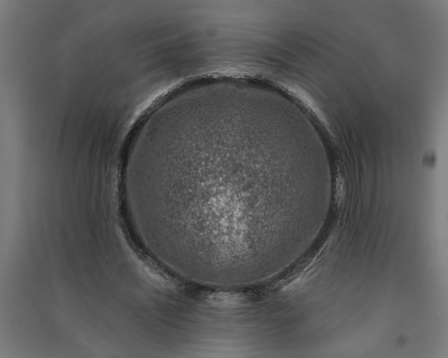 X0000091060444200708201349
