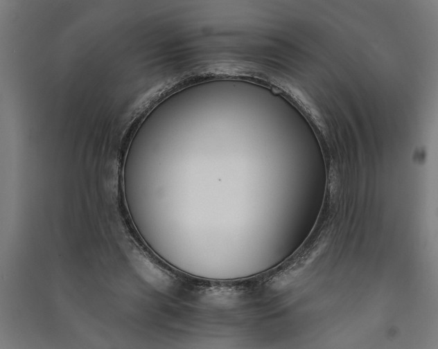 X0000091060445200708201349