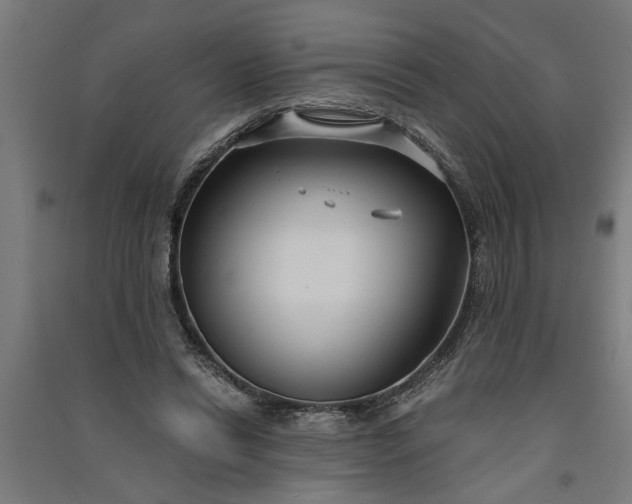 X0000091060446200708201349