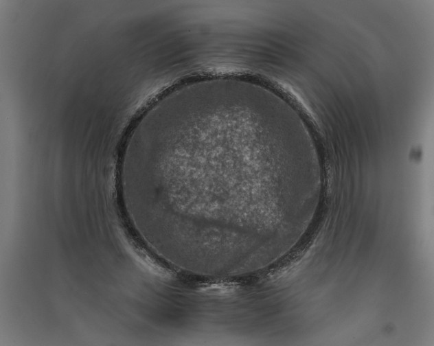 X0000091060447200708201349