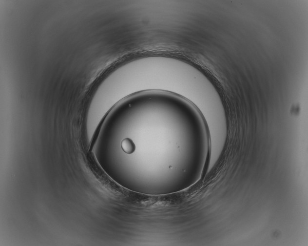 X0000091060448200708201349
