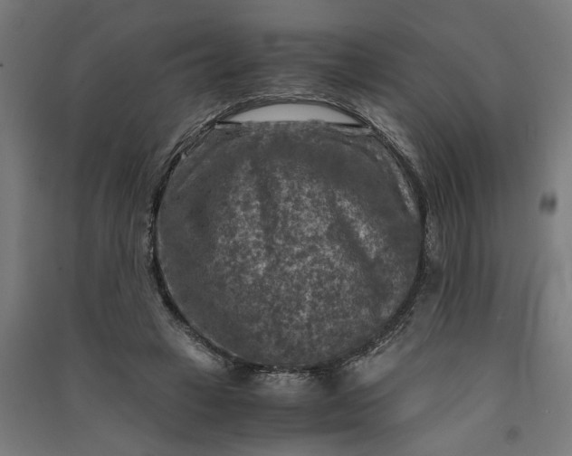 X0000091060449200708201349