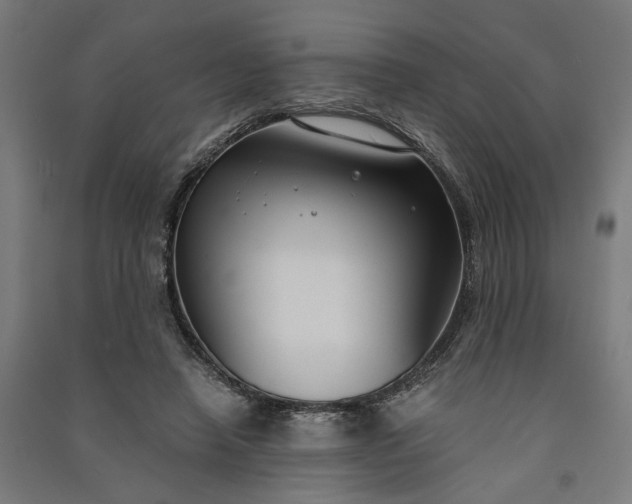 X0000091060450200708201349