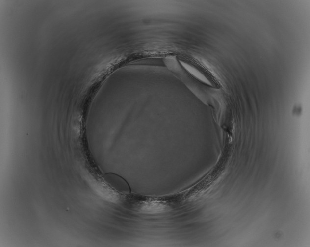 X0000091060451200708201349