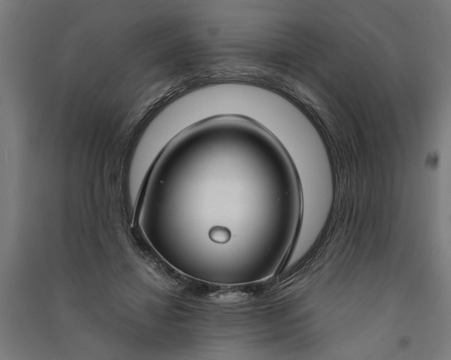 X0000091060452200708201349