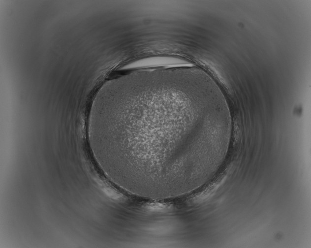 X0000091060453200708201349