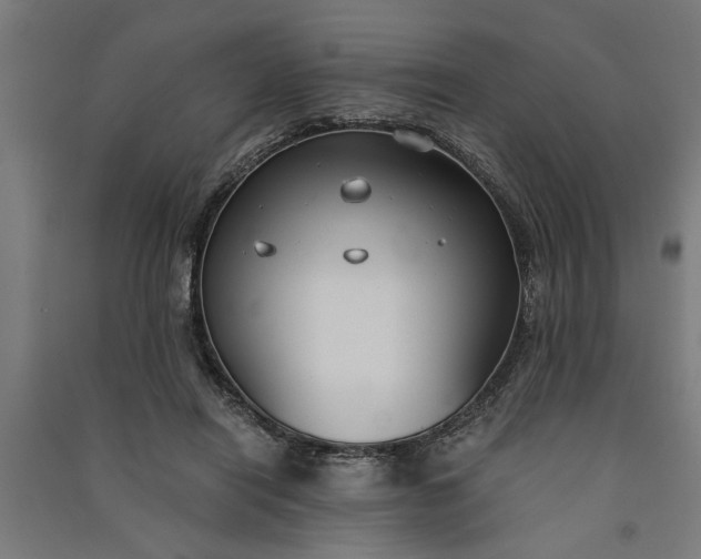 X0000091060454200708201349