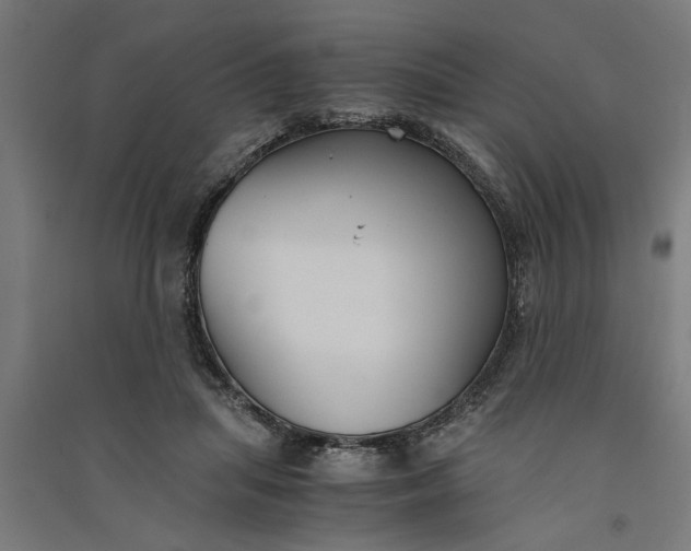 X0000091060455200708201349