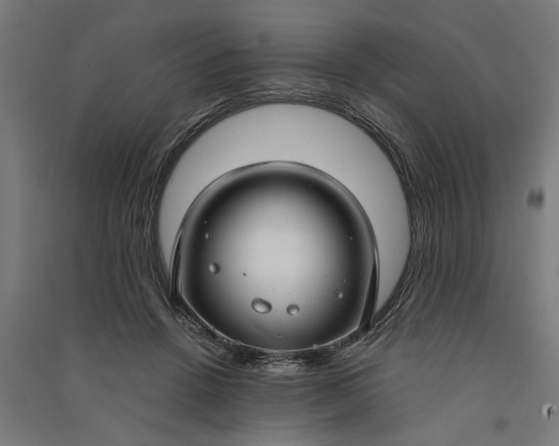 X0000091060456200708201349