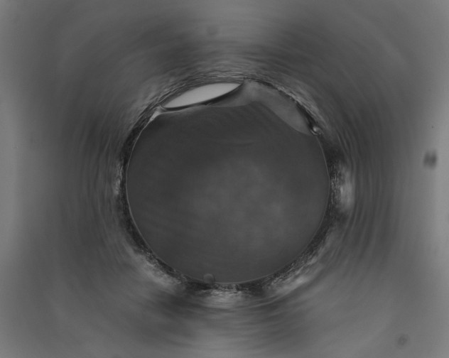 X0000091060458200708201349