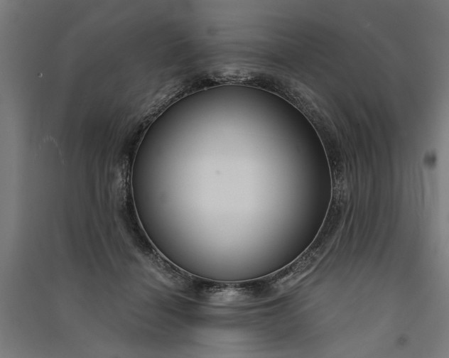 X0000091060460200708201349