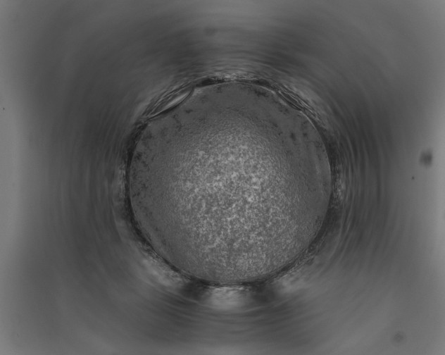 X0000091060461200708201349