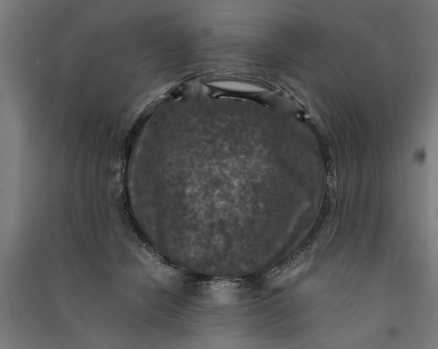 X0000091060462200708201349