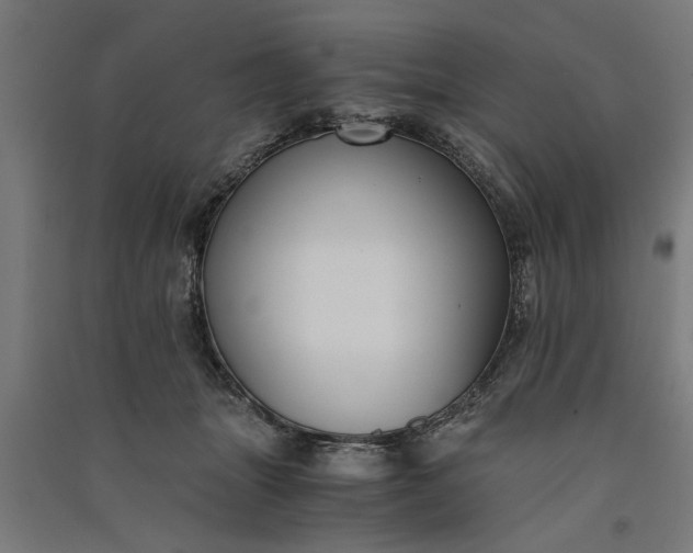 X0000091060463200708201349