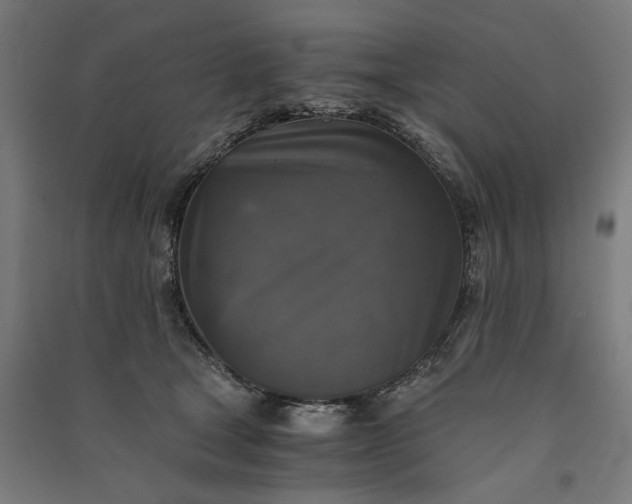 X0000091060465200708201349