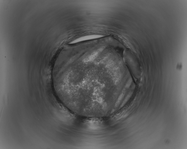 X0000091060466200708201349