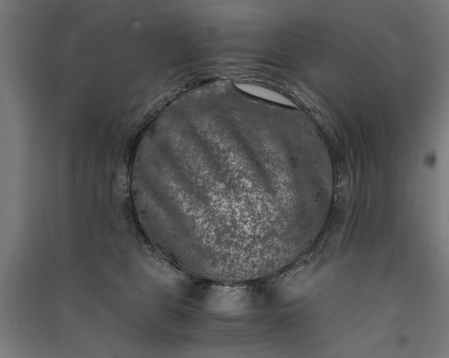 X0000091060469200708201349