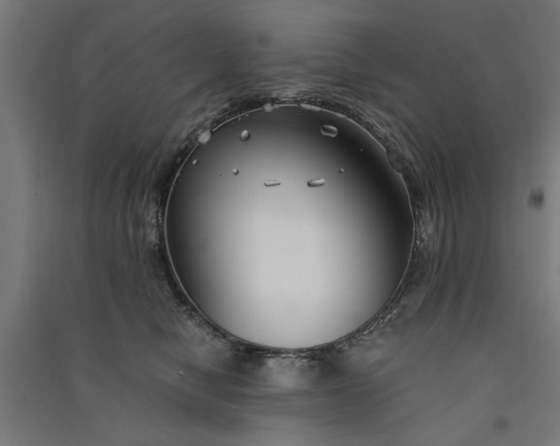 X0000091060470200708201349