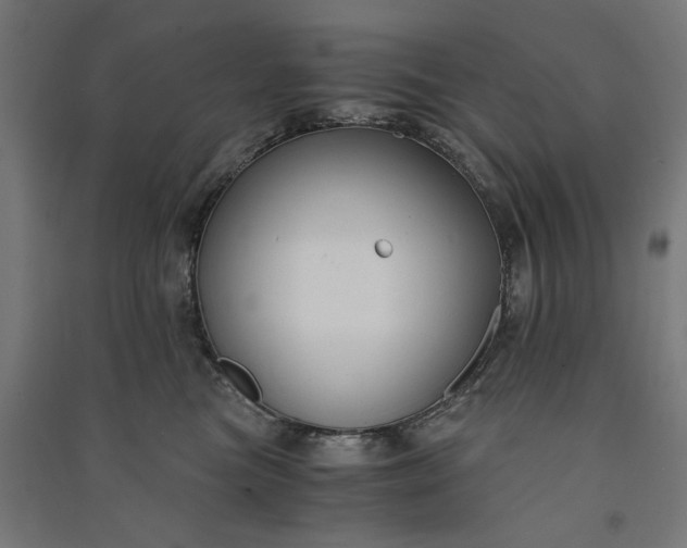 X0000091060473200708201349