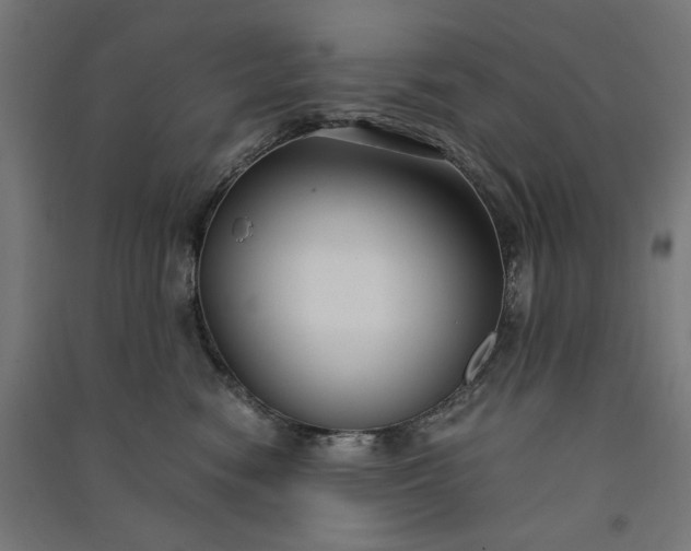 X0000091060474200708201349