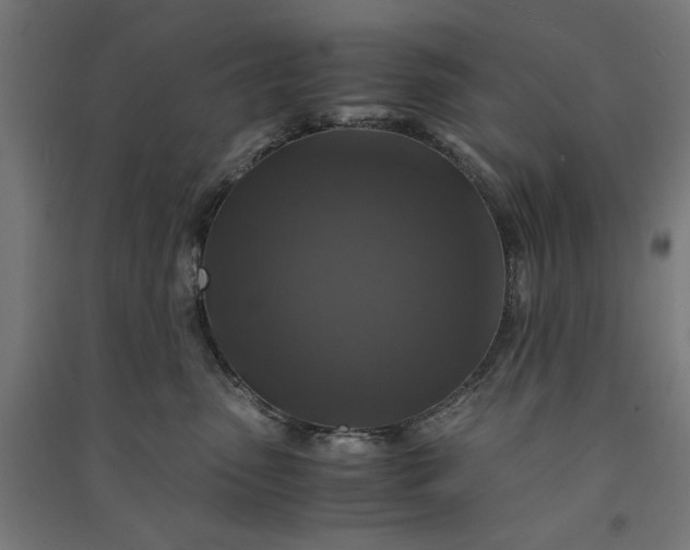 X0000091060475200708201349